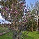 Agroturystyka Porbady Porbady